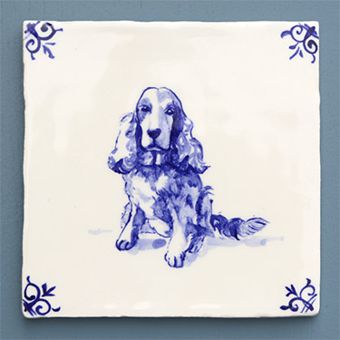 Cocker Spaniel